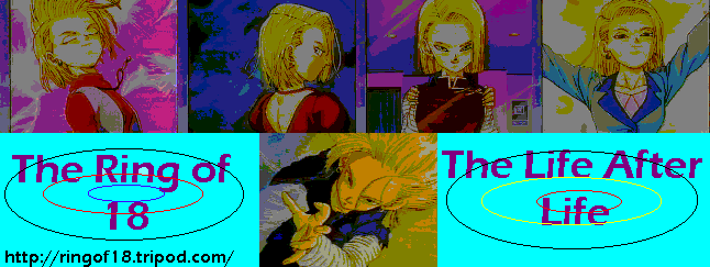 18banner.gif